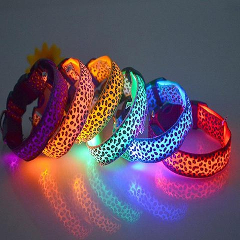 Bright LED Safety Collar for Happy Nighttime Dog Walks