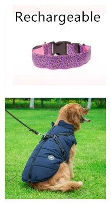 Bright LED Safety Collar for Happy Nighttime Dog Walks