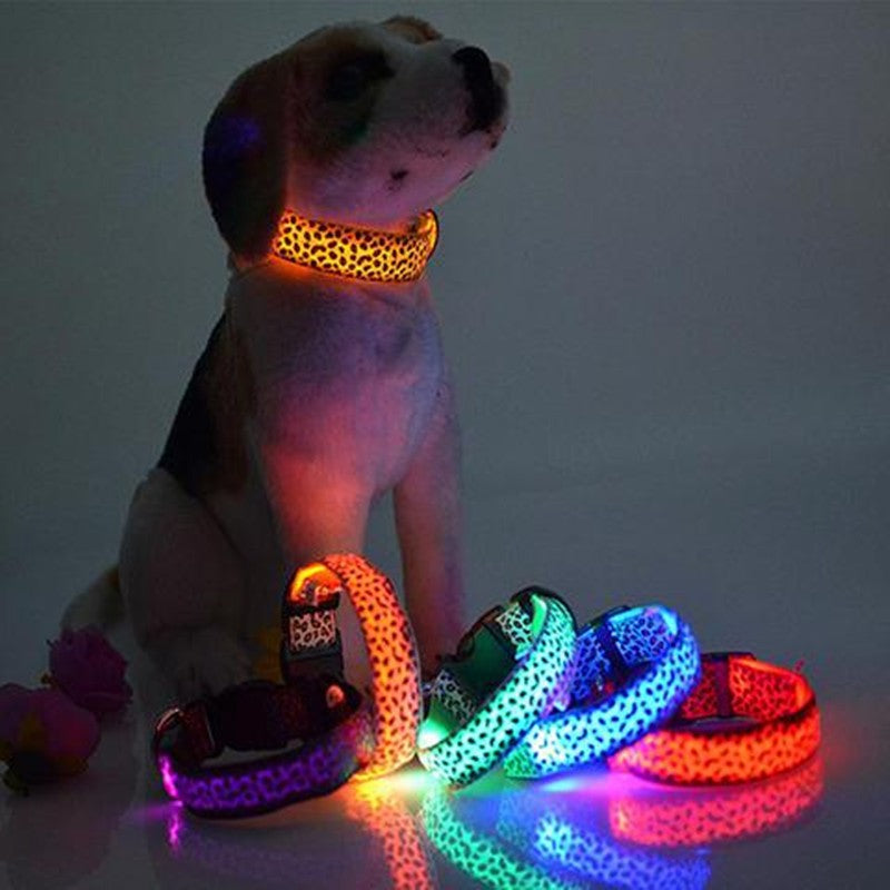 Bright LED Safety Collar for Happy Nighttime Dog Walks
