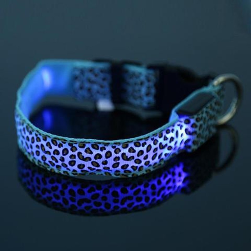 Bright LED Safety Collar for Happy Nighttime Dog Walks