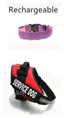 Bright LED Safety Collar for Happy Nighttime Dog Walks